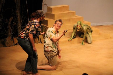 The Allen Community College Theatre Department  presents Seascape by Edward Albee this Thursday through Saturday, in the college theater.
