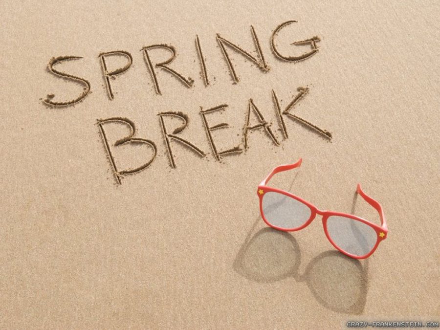 The Preview of Summertime Fun: Spring Break!